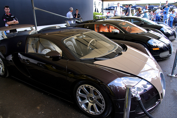 3 Bugatti Veyrons...